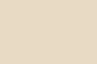 SU3423SM CREAMY VANILLA