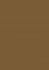 ICA HPL Laminate Colour Series - Golden Brown